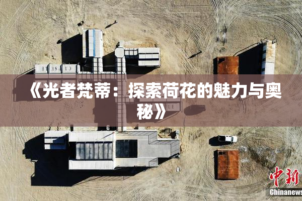 《光者梵蒂：探索荷花的魅力与奥秘》