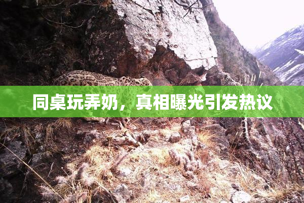 同桌玩弄奶，真相曝光引发热议