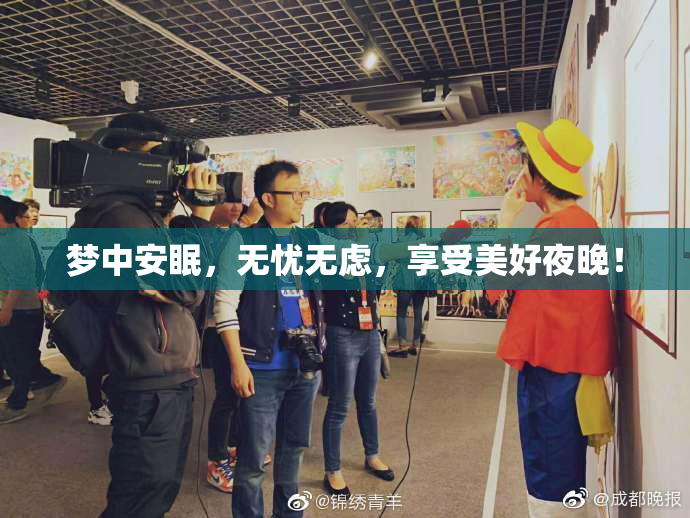 梦中安眠，无忧无虑，享受美好夜晚！