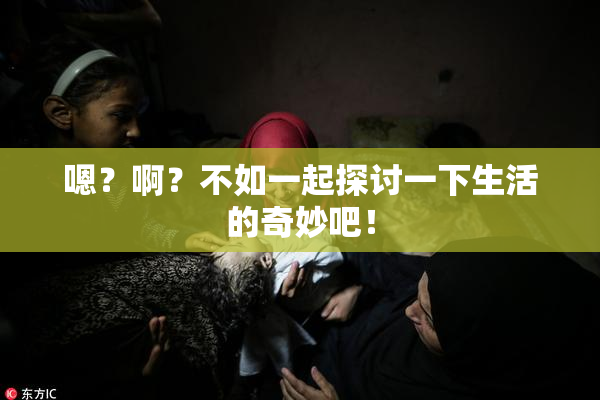嗯？啊？不如一起探讨一下生活的奇妙吧！