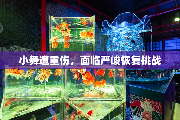 小舞遭重伤，面临严峻恢复挑战