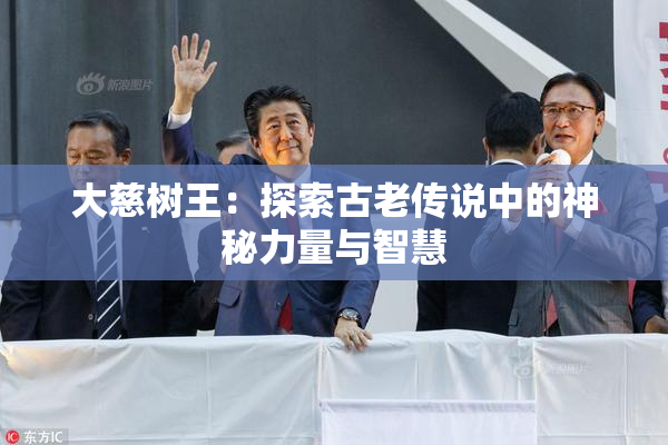 大慈树王：探索古老传说中的神秘力量与智慧