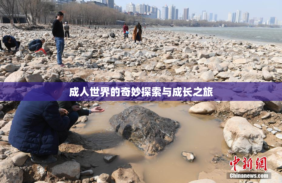 成人世界的奇妙探索与成长之旅