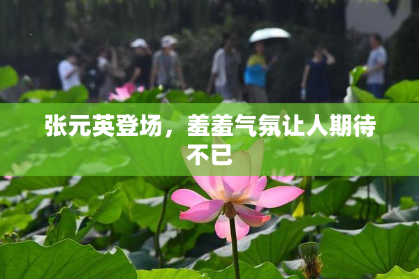 张元英登场，羞羞气氛让人期待不已