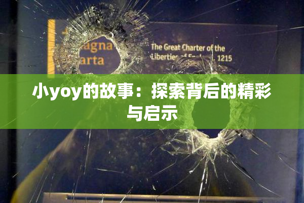 小yoy的故事：探索背后的精彩与启示