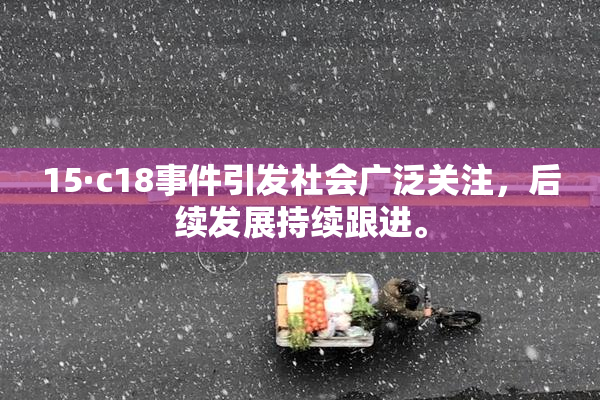 15·c18事件引发社会广泛关注，后续发展持续跟进。