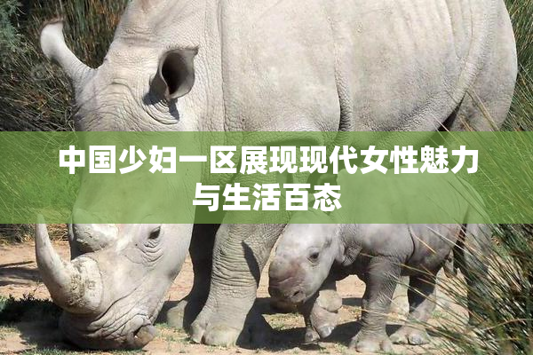 中国少妇一区展现现代女性魅力与生活百态