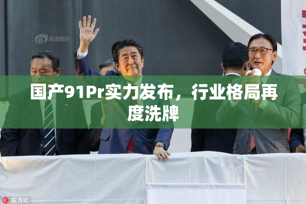 国产91Pr实力发布，行业格局再度洗牌