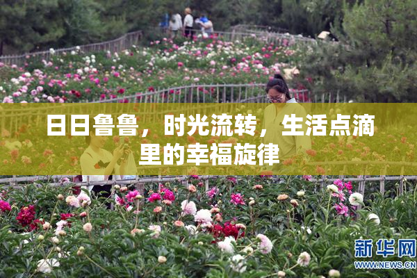 日日鲁鲁，时光流转，生活点滴里的幸福旋律