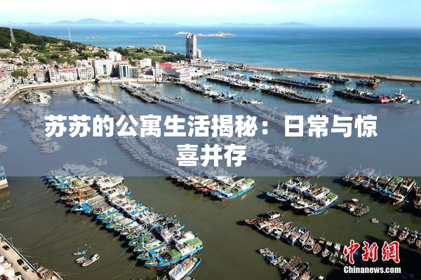 苏苏的公寓生活揭秘：日常与惊喜并存