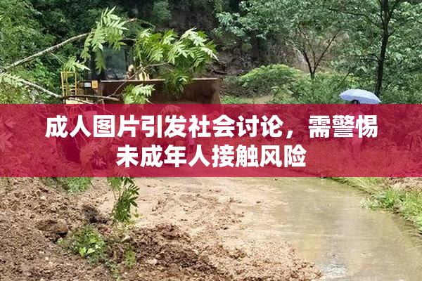成人图片引发社会讨论，需警惕未成年人接触风险