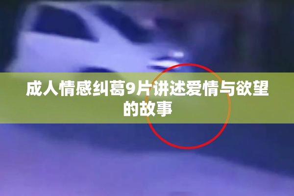 成人情感纠葛9片讲述爱情与欲望的故事