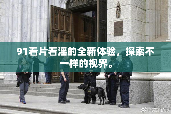 91看片看淫的全新体验，探索不一样的视界。