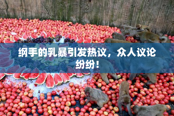 纲手的乳暴引发热议，众人议论纷纷！