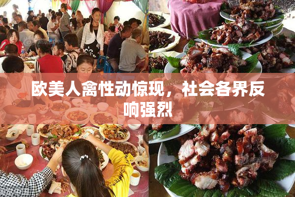 欧美人禽性动惊现，社会各界反响强烈