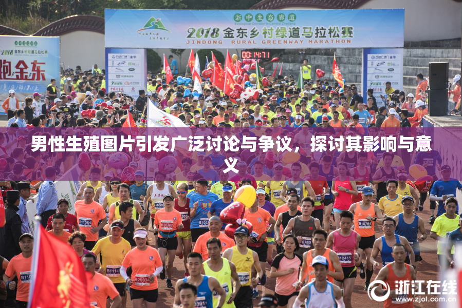 男性生殖图片引发广泛讨论与争议，探讨其影响与意义