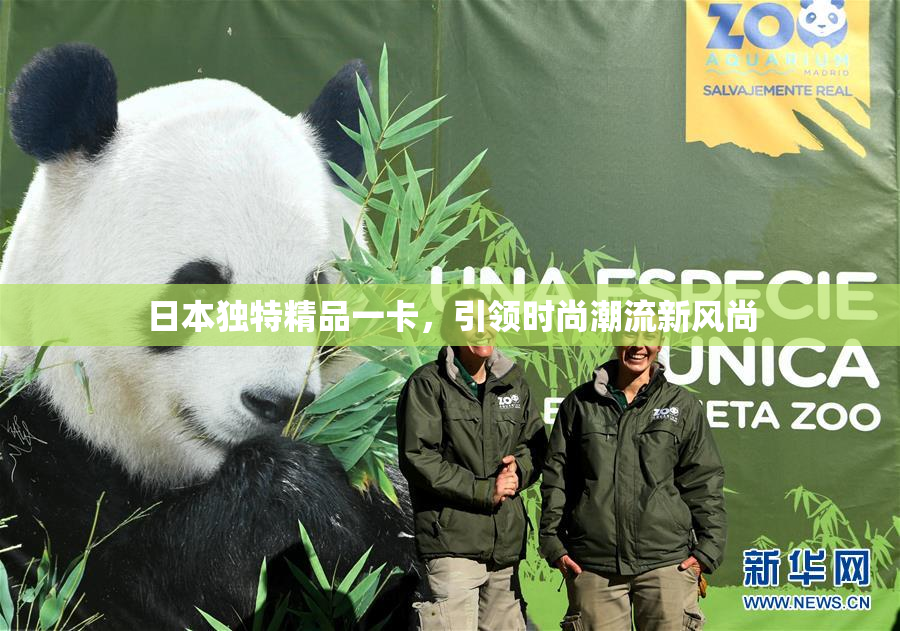 日本独特精品一卡，引领时尚潮流新风尚
