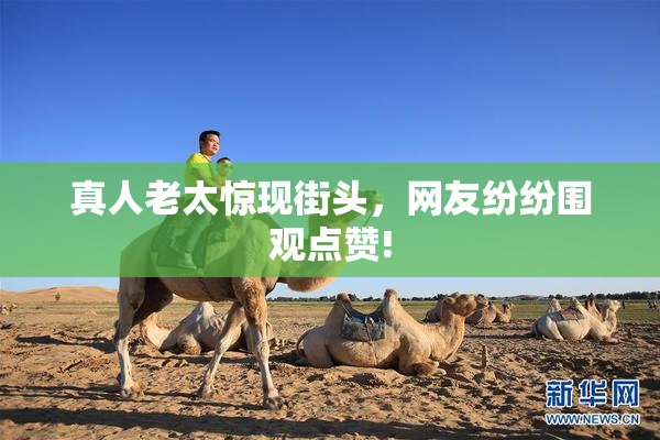 真人老太惊现街头，网友纷纷围观点赞!