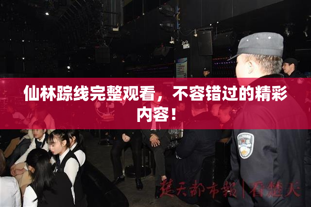 仙林踪线完整观看，不容错过的精彩内容！
