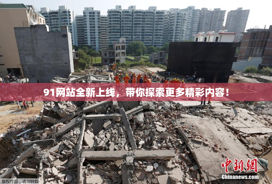 91网站全新上线，带你探索更多精彩内容！