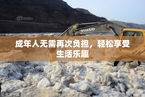 成年人无需再次负担，轻松享受生活乐趣