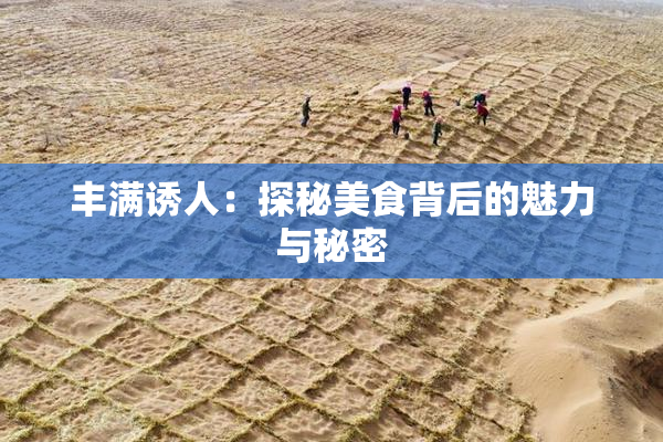 丰满诱人：探秘美食背后的魅力与秘密