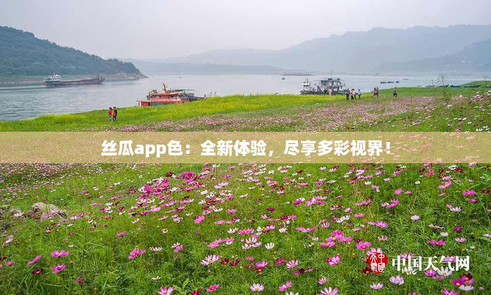 丝瓜app色：全新体验，尽享多彩视界！