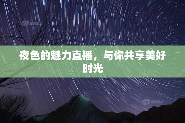 夜色的魅力直播，与你共享美好时光