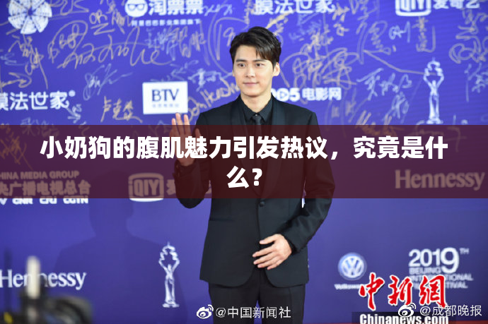 小奶狗的腹肌魅力引发热议，究竟是什么？