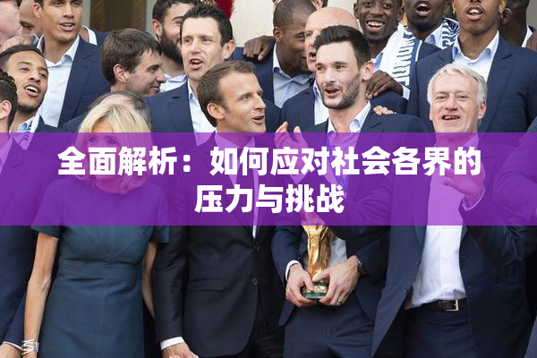 全面解析：如何应对社会各界的压力与挑战