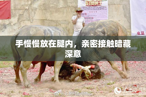 手慢慢放在腿内，亲密接触暗藏深意