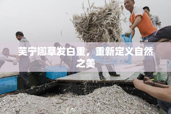 芙宁娜草发白重，重新定义自然之美