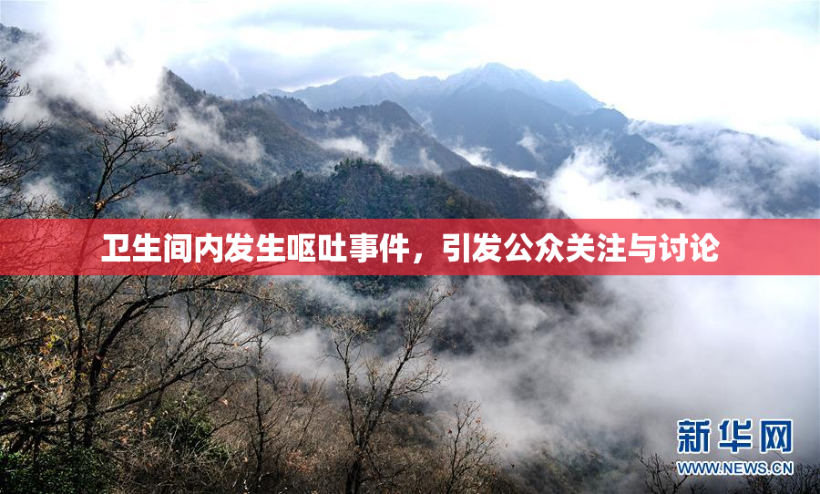 卫生间内发生呕吐事件，引发公众关注与讨论