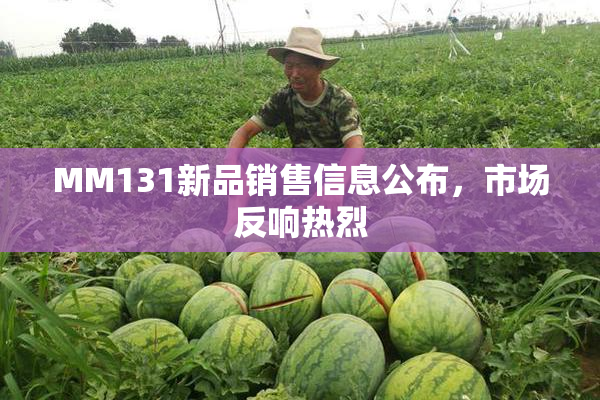MM131新品销售信息公布，市场反响热烈