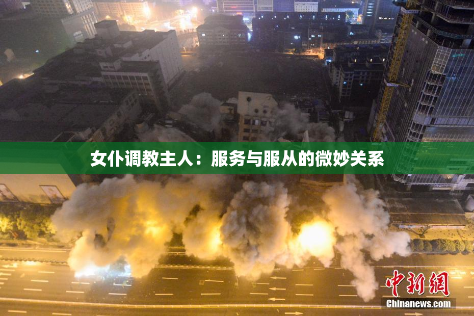 女仆调教主人：服务与服从的微妙关系