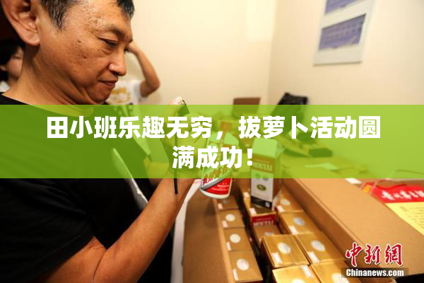 田小班乐趣无穷，拔萝卜活动圆满成功！