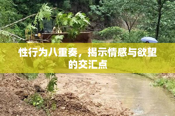 性行为八重奏，揭示情感与欲望的交汇点