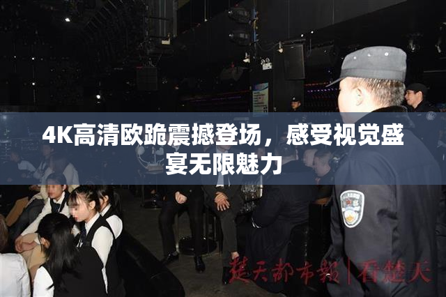 4K高清欧跪震撼登场，感受视觉盛宴无限魅力