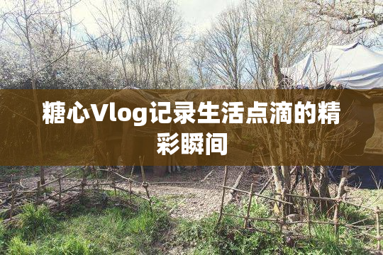 糖心Vlog记录生活点滴的精彩瞬间