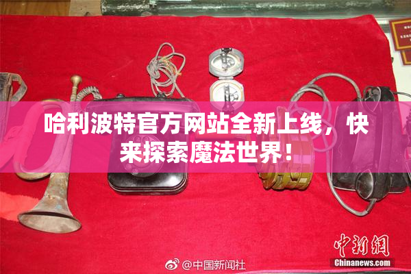 哈利波特官方网站全新上线，快来探索魔法世界！