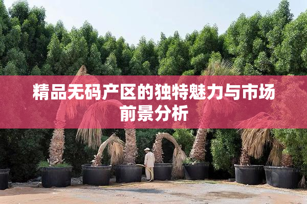 精品无码产区的独特魅力与市场前景分析