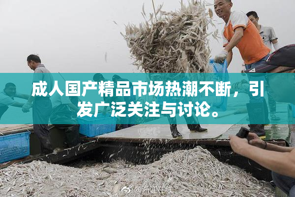 成人国产精品市场热潮不断，引发广泛关注与讨论。