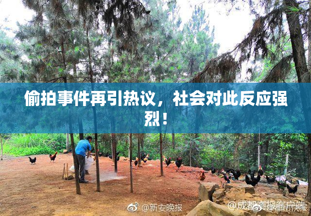 偷拍事件再引热议，社会对此反应强烈！