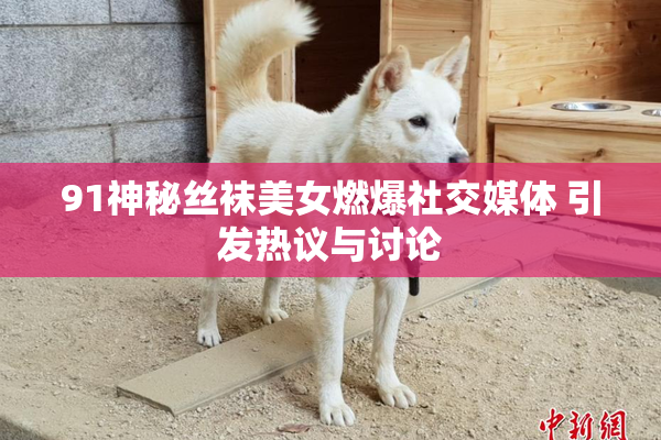 91神秘丝袜美女燃爆社交媒体 引发热议与讨论