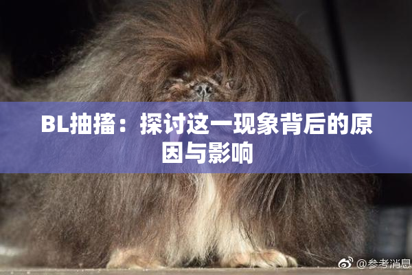 BL抽搐：探讨这一现象背后的原因与影响