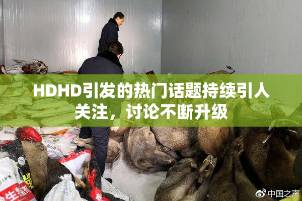 HDHD引发的热门话题持续引人关注，讨论不断升级