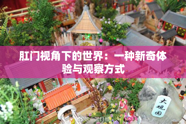 肛门视角下的世界：一种新奇体验与观察方式