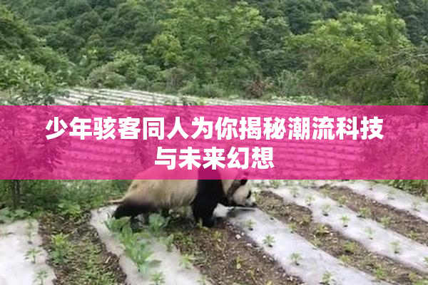 少年骇客同人为你揭秘潮流科技与未来幻想