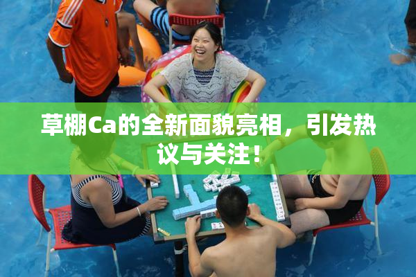 草棚Ca的全新面貌亮相，引发热议与关注！