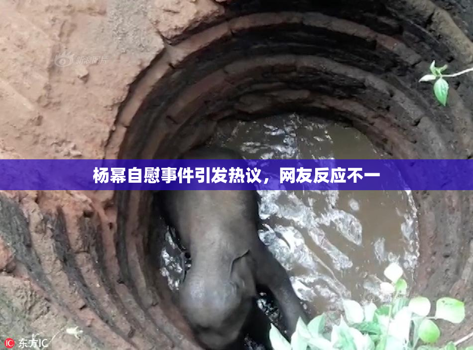 杨幂自慰事件引发热议，网友反应不一